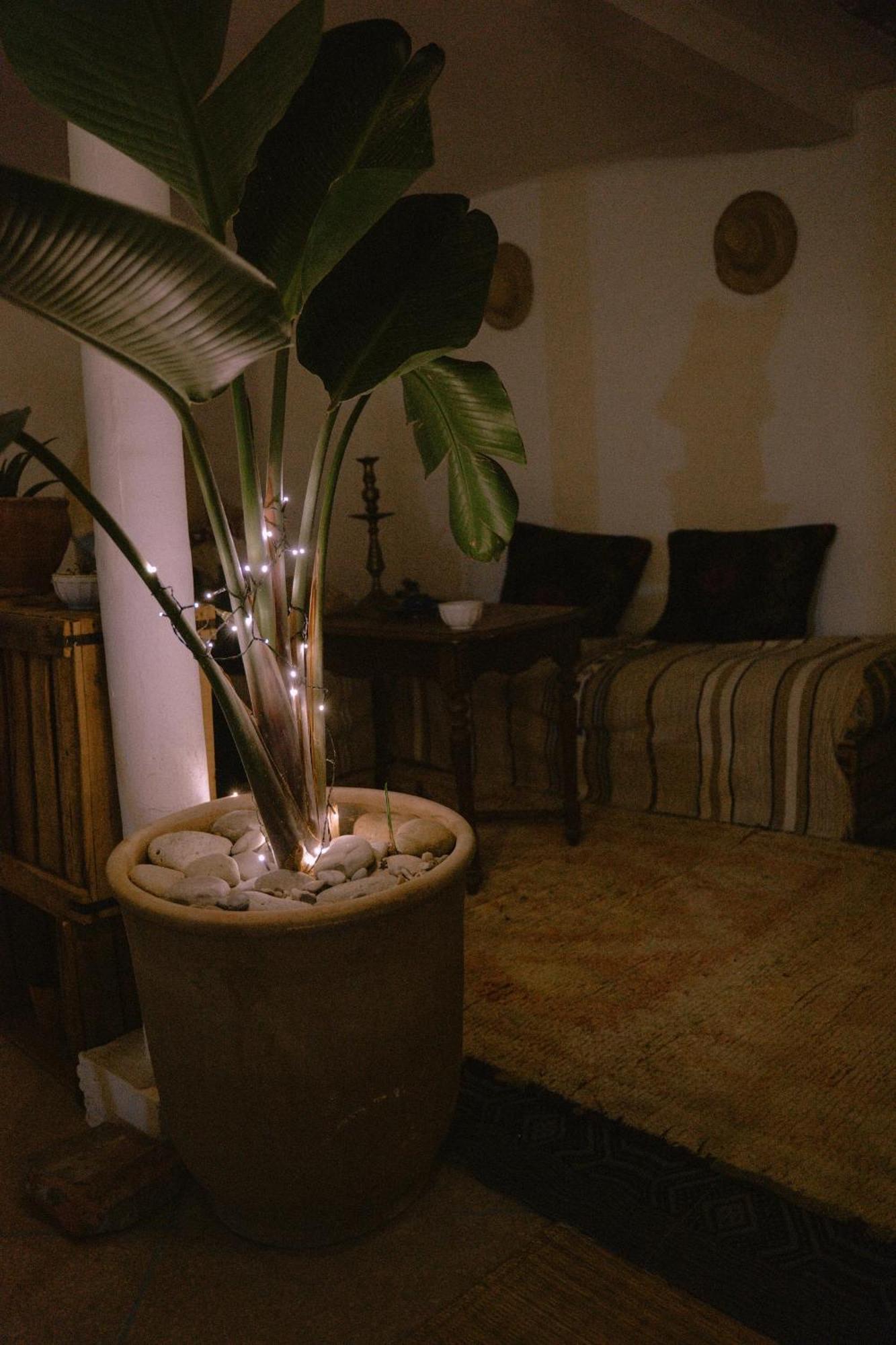 Bed and Breakfast Line Up Surf Morocco Tamraght Экстерьер фото